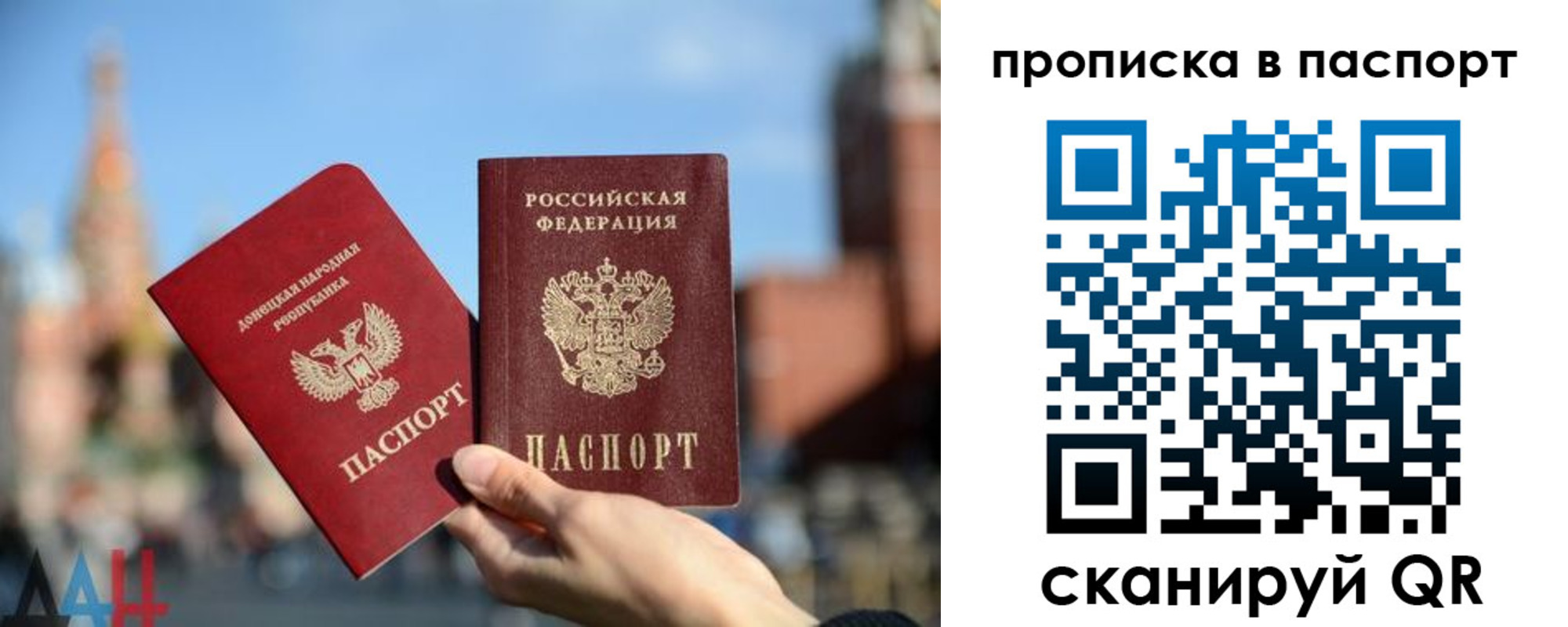 прописка ребенка в Фрязино